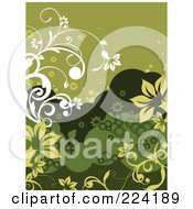 Poster, Art Print Of Green And White Floral Background