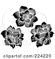 Royalty Free RF Clipart Illustration Of A Digital Collage Of Three Blooming Flowers
