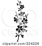 Poster, Art Print Of Vertical Border Of Black And White Blossoms - 1