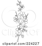 Poster, Art Print Of Vertical Border Of Black And White Blossoms - 3