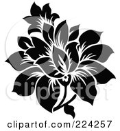 Royalty Free RF Clipart Illustration Of A Black And White Flower Design 5