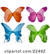 Collection Of Orange Purple Blue And Green Elegant Butterflies On A White Background