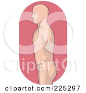 Male Human Torso Logo