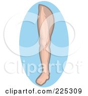 Royalty Free RF Clipart Illustration Of A Male Human Leg Logo