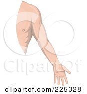 Royalty Free RF Clipart Illustration Of A Male Human Arm Logo