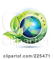 Poster, Art Print Of 3d Shiny American Globe With Green Leaves And 100 Percent Nature Text