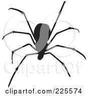 Poster, Art Print Of Silhouetted Black Spider