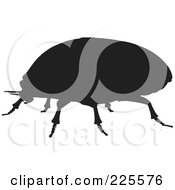 Poster, Art Print Of Silhouetted Black Scarab Beetle