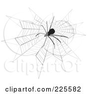 Silhouetted Black Spider On A Web