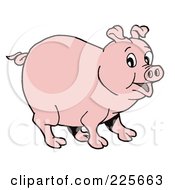 Poster, Art Print Of Cute Surprised Pink Pig