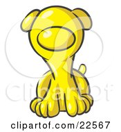 Cute Yellow Puppy Dog Looking Curiously At The Viewer