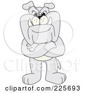 Royalty Free RF Clipart Illustration Of A Gray Bulldog Mascot Standing With His Arms Crossed