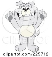 Royalty Free RF Clipart Illustration Of A Gray Bulldog Mascot Standing With His Paws In The Air by Toons4Biz