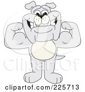 Gray Bulldog Mascot Standing And Flexing