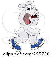 Poster, Art Print Of Gray Bulldog Mascot Walking Upright And Wearing Shoes