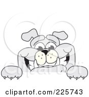 Poster, Art Print Of Gray Bulldog Mascot Smiling Over A Blank Sign