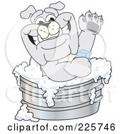 Gray Bulldog Mascot Bathing In A Metal Tub