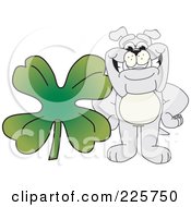 Poster, Art Print Of Gray Bulldog Mascot With A Four Leaf Clover