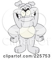 Royalty Free RF Clipart Illustration Of A Gray Bulldog Mascot Standing With His Hands On His Hips