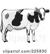 Poster, Art Print Of Dairy Cow In Grayscale