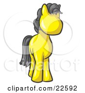 Poster, Art Print Of Cute Yellow Pony Horse Looking Out At The Viewer
