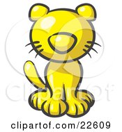 Cute Yellow Kitty Cat Looking Curiously At The Viewer