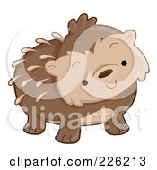 Poster, Art Print Of Cute Curious Hedgehog