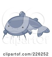 Poster, Art Print Of Cute Gray Catfish