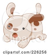 Poster, Art Print Of Cute Puppy Dog Running Scared