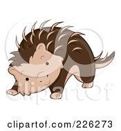 Poster, Art Print Of Cute Porcupine