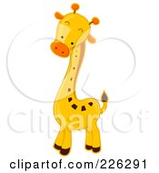 Poster, Art Print Of Cute Baby Giraffe With An Orange Nose
