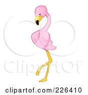 Royalty Free RF Clipart Illustration Of A Pink Flamingo Standing