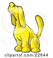 Poster, Art Print Of Yellow Tick Hound Dog Howling Or Sniffing The Air