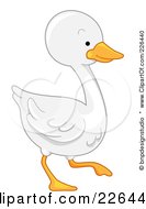Royalty Free RF Clipart Illustration Of A White Goose