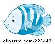 Poster, Art Print Of Cute Blue Striped Fish