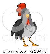 Poster, Art Print Of Gray Rooster