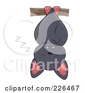 Cute Gray Bat Sleeping Upside Down