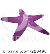 Royalty Free RF Clipart Illustration Of A Purple Sea Starfish