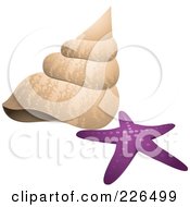 Royalty Free RF Clipart Illustration Of A Sea Shell And Purple Star Fish by TA Images #COLLC226499-0125