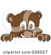 Poster, Art Print Of Bear Cub School Mascot Looking Over A Blank Sign