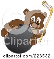 Poster, Art Print Of Bear Cub School Mascot Grabbing A Hockey Puck