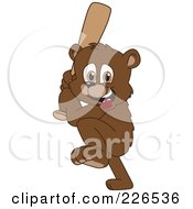 Poster, Art Print Of Bear Cub School Mascot Playing Baseball