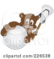Poster, Art Print Of Bear Cub School Mascot Grabbing A Lacrosse Ball
