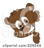 Royalty Free RF Clipart Illustration Of A Bear Cub School Mascot Looking Around A Blank Sign