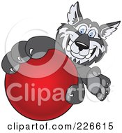 Poster, Art Print Of Husky School Mascot Grabbing A Red Ball