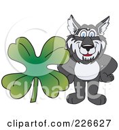 Poster, Art Print Of Husky School Mascot With A Four Leaf Clover