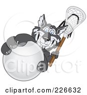 Poster, Art Print Of Husky School Mascot Grabbing A Lacrosse Ball