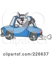 Poster, Art Print Of Husky School Mascot Waving And Driving A Car