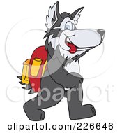 Husky School Mascot Walking To School