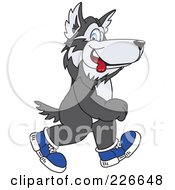 Husky School Mascot Walking In Shoes